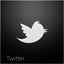 Folge uns auf Twitter