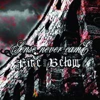 FIRE DOWN BELOW / SENSE NEVER CAME - SPLIT FIRE DOWN BELOW / SENSE NEVER CAME - SPLIT