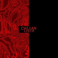 COLTAN LEECH - A SEDUCTION OF SHADOWS COLTAN LEECH - A SEDUCTION OF SHADOWS
