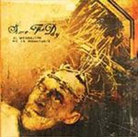 SINCE THE DAY - EL MENSAJERO NO ES IMPORTANTE