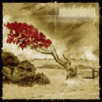 MAINTAIN - REVEAL OUR DISGUISE TO AN INFINITE ABYSS MAINTAIN - REVEAL OUR DISGUISE TO AN INFINITE ABYSS