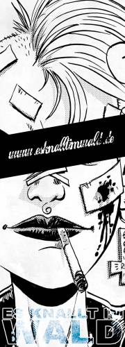 ES KNALLT IM WALD 2013