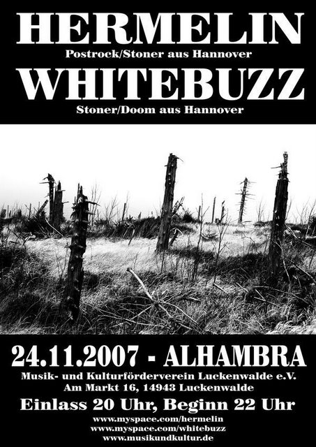 HERMELIN, WHITEBUZZ