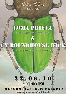 LOMA PRIETA, CN ROUNDHOUSE KICK