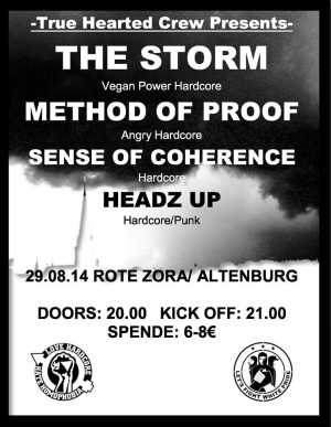 THE STORM, METHOD OF PROOF, SENSE OF COHERENCE, HEADZ UP THE STORM, METHOD OF PROOF, SENSE OF COHERENCE, HEADZ UP