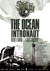 the ocean
