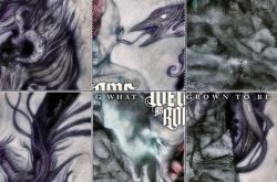 www.wecameasromans.com/reveal/