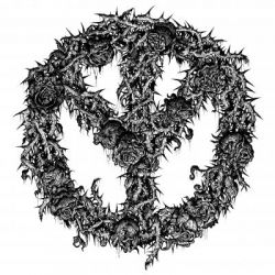 Copyright by www.truepanther.com www.truepanther.com