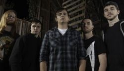 Copyright by www.facebook.com/inthemidstoflions www.facebook.com/inthemidstoflions