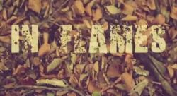 www.inflames.com