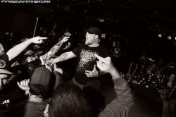 Copyright by www.returntothepit.com www.returntothepit.com