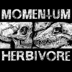 www.facebook.com/momentumhc
