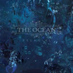www.facebook.com/theoceancollective
