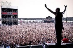 www.withfullforce.de