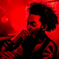 Copyright by drk pixs photography | www.facebook.com/chris.barretto.9 drk pixs photography | www.facebook.com/chris.barretto.9