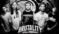 Copyright by www.facebook.com/brutalitywillprevail www.facebook.com/brutalitywillprevail
