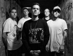 blitzkid photography