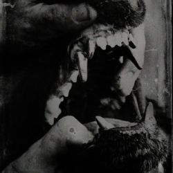 Copyright by tigercrew.bandcamp.com tigercrew.bandcamp.com